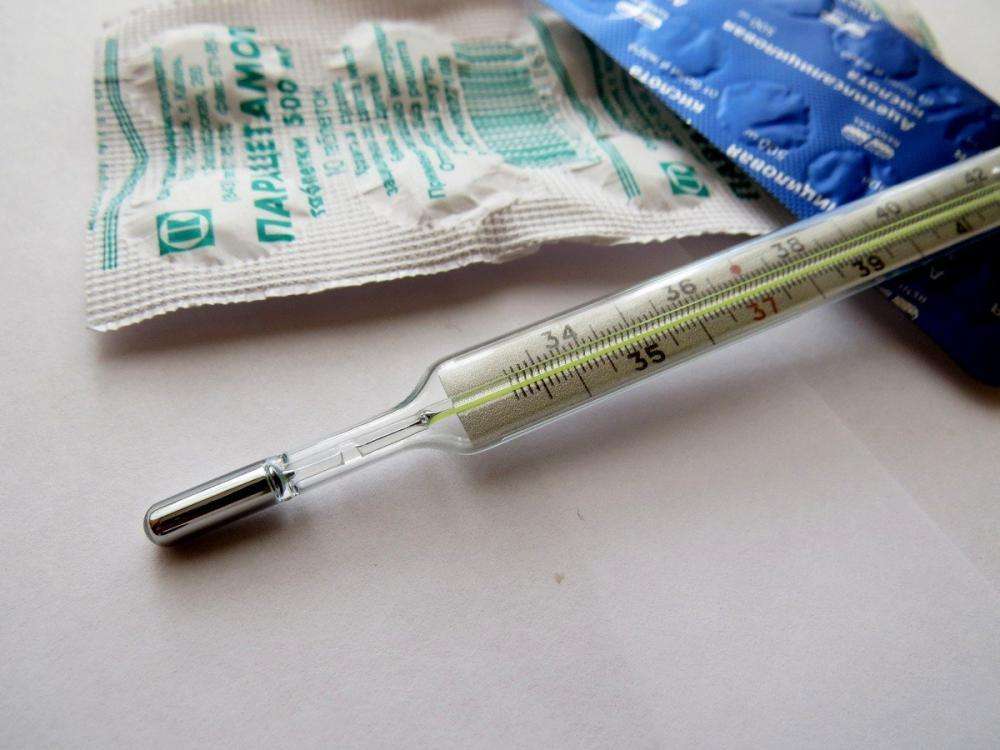 С 7 сентября в Бердске началась вакцинация против гриппа