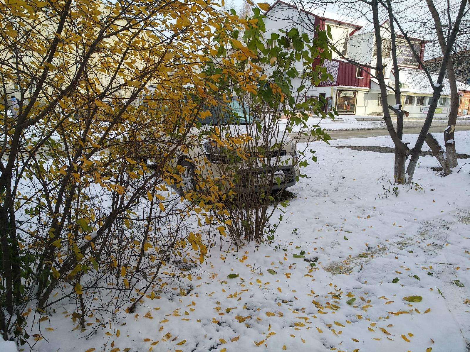 Экстренное предупреждение! Шторм с мокрым снегом обрушится на Бердск