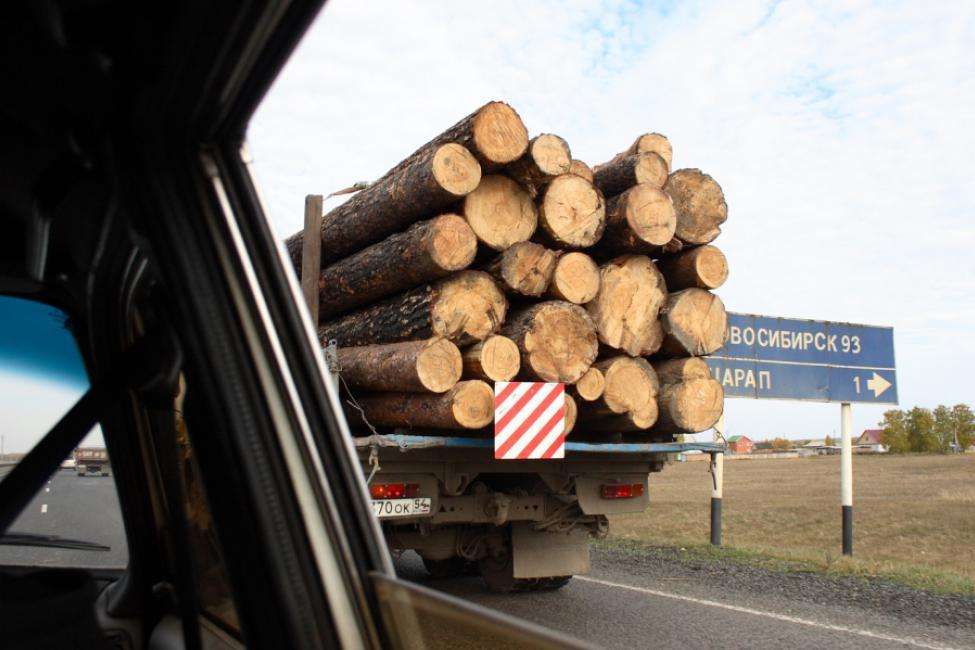 Андрей Шимкив: «Учет сделок с древесиной должен быть законным, прозрачным и подконтрольным»