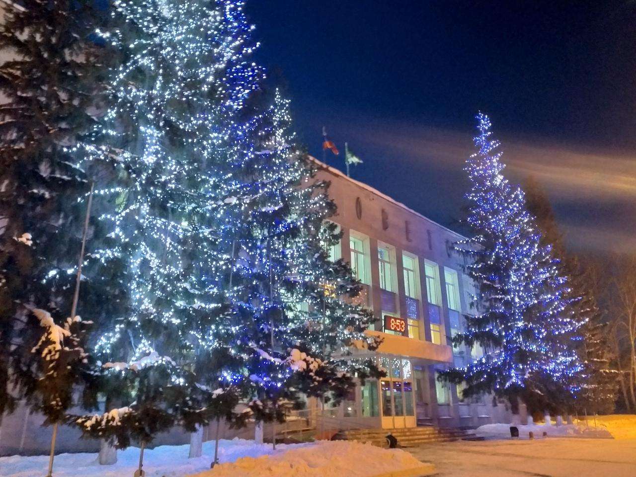 Создавать новогоднюю атмосферу в Бердске призывают местных бизнесменов