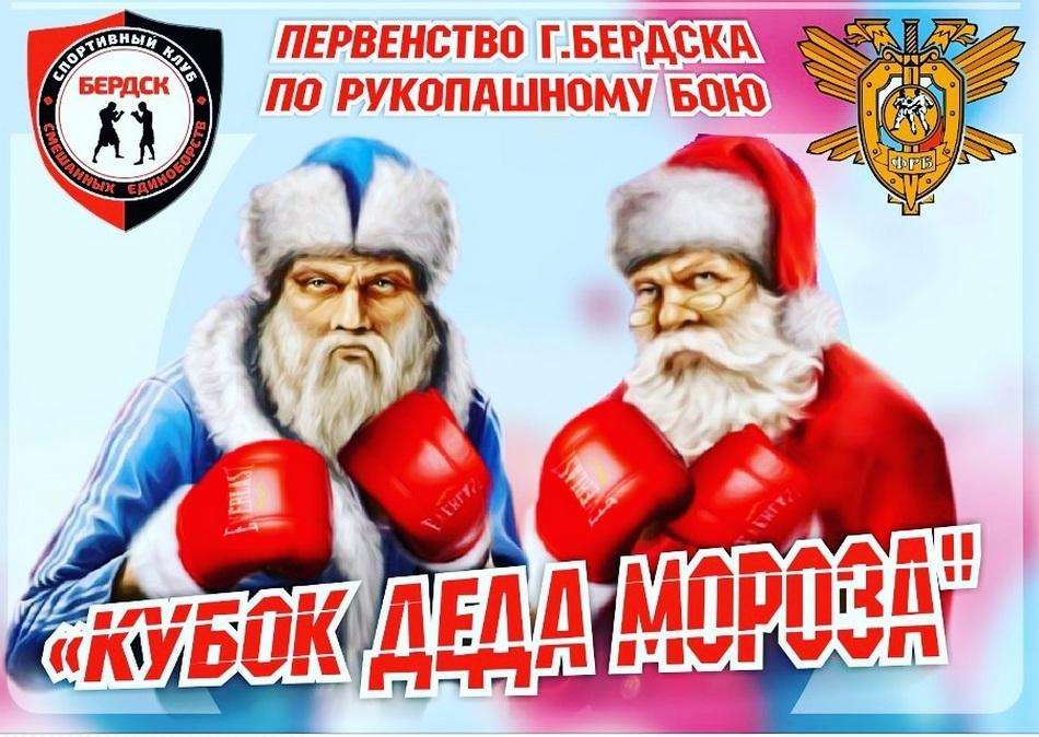 Кубок Деда Мороза по рукопашному бою состоится в Бердске