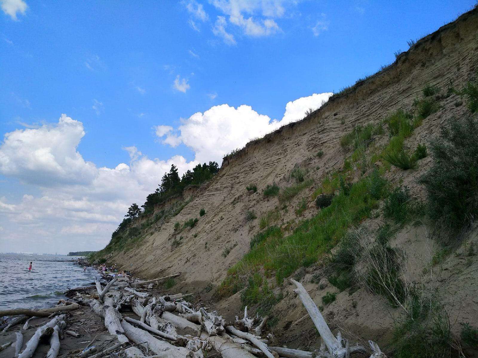 155 га лесов Бердска могут временно лишить статуса памятника природы из-за укрепления берегов 