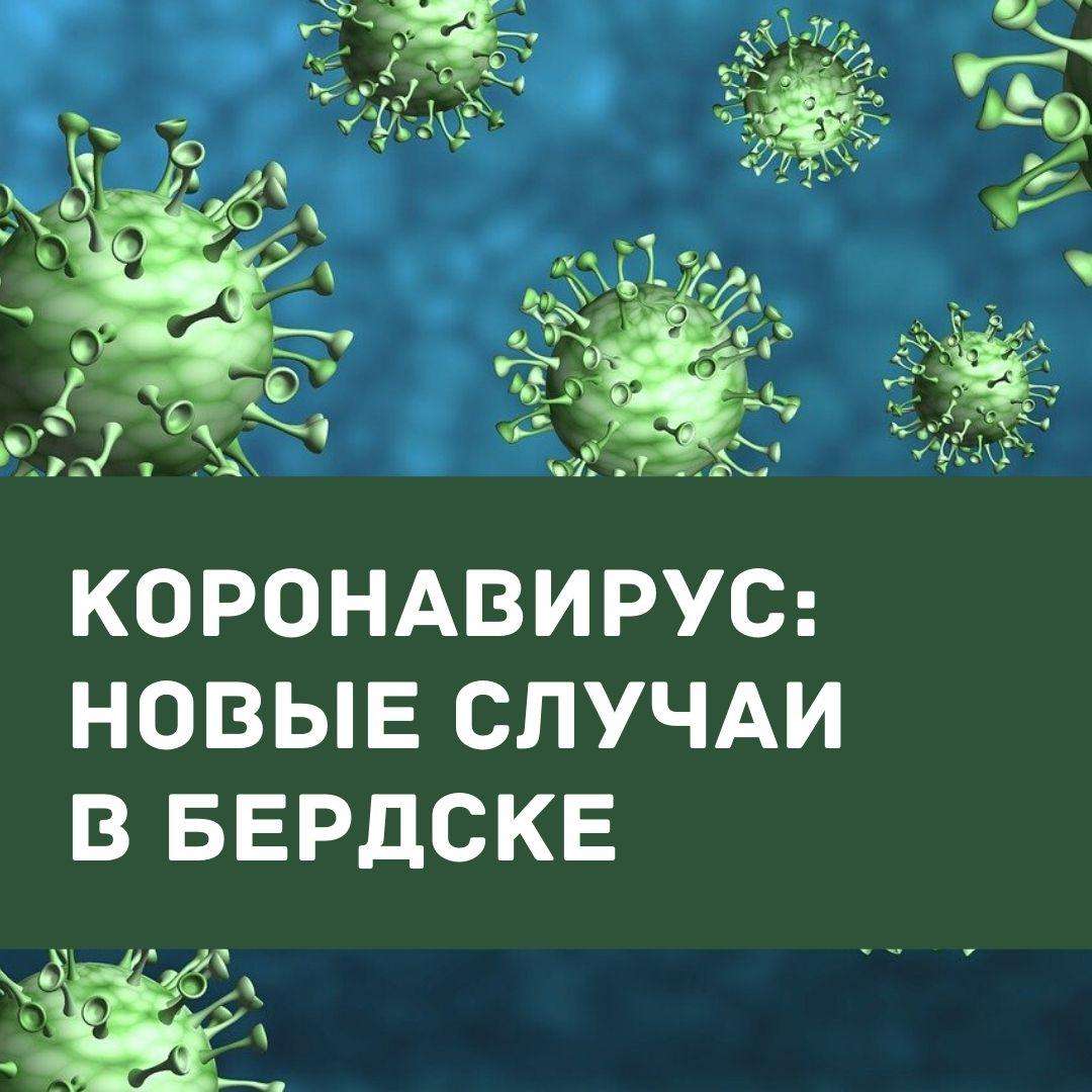 1113 случаев заражения COVID-19 зафиксировано в Бердске с начала пандемии