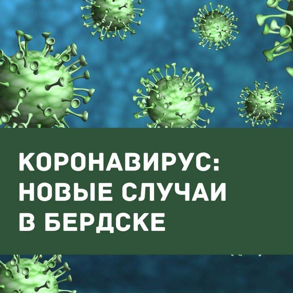 Сводка по COVID-19 на 30 января в Бердске: +8 новых заразившихся