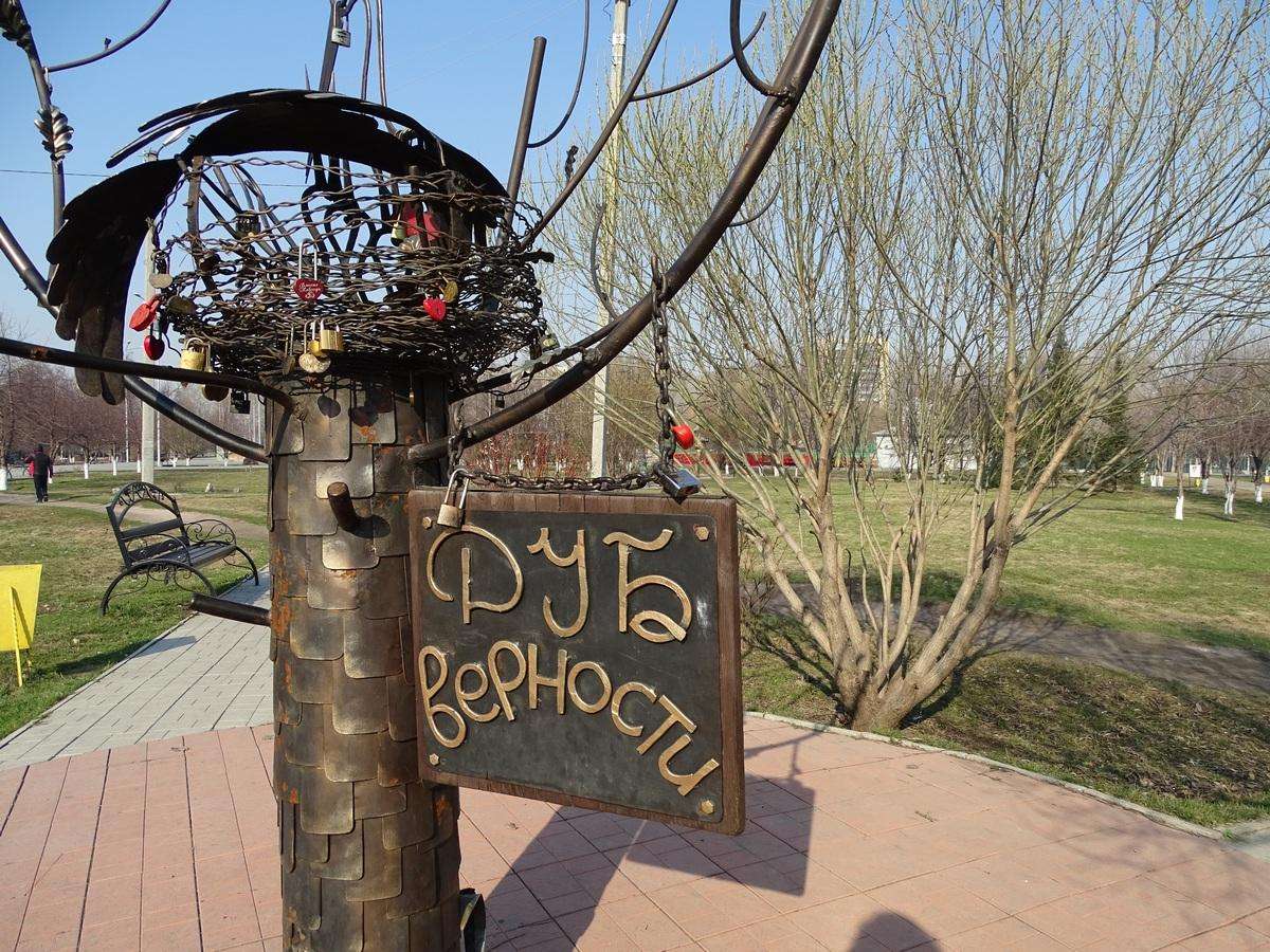 «Дуб верности» в парке оценен в 220 тыс. рублей. Стало известно самое дорогое имущество в ГЦКиД Бердска
