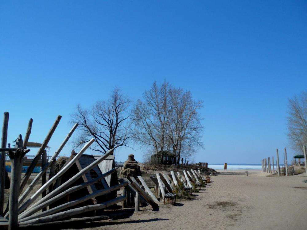 Срубят аварийные деревья на пляже "Старый Бердск"