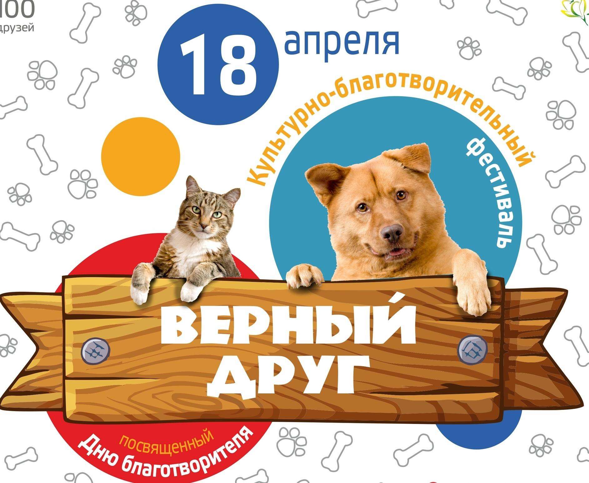 Фестиваль «Верный друг» для помощи приюту животных проводит молодежный центр в Бердске