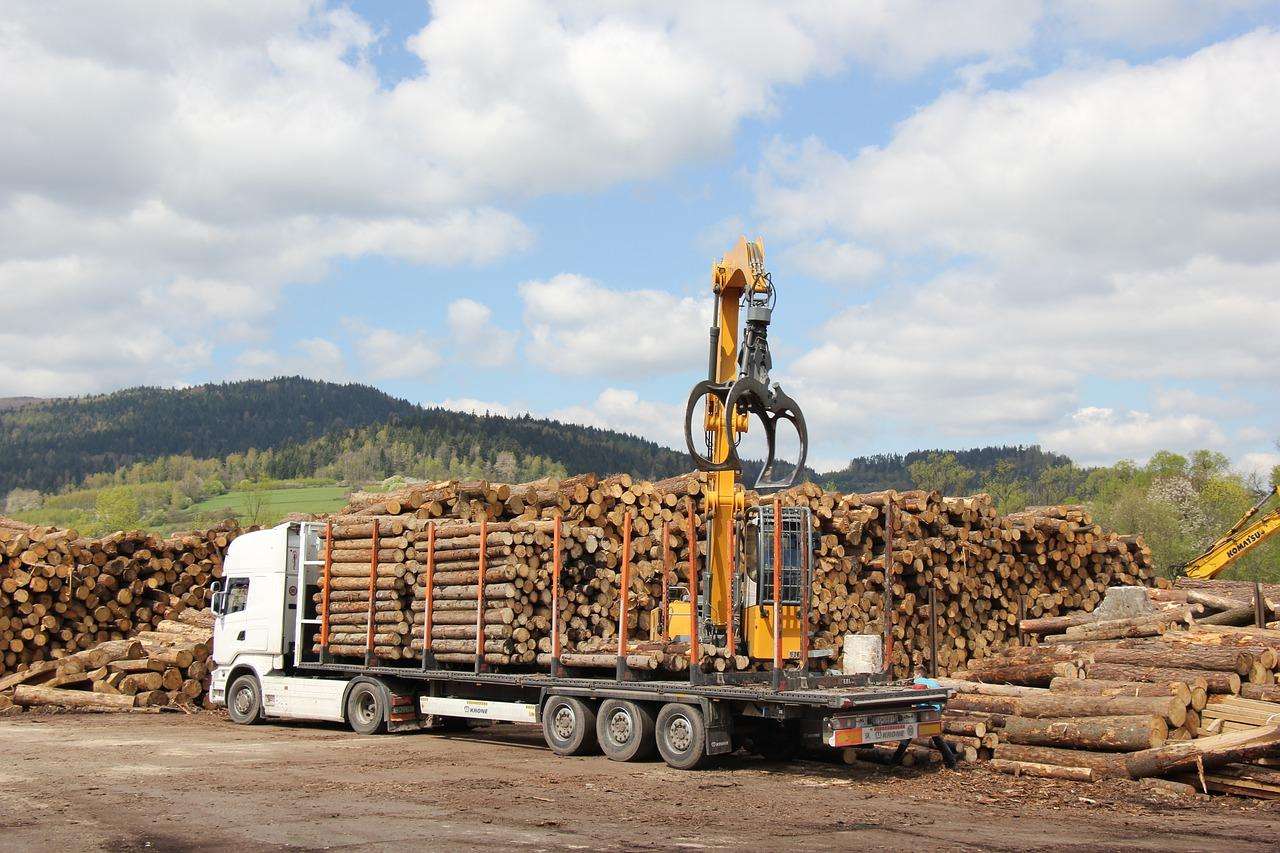 Бердчанку оштрафовали за нарушения при перевозке древесины в Анжеро-Судженске