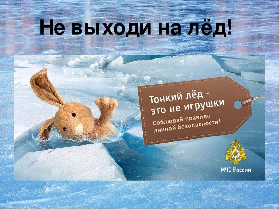 Бердчане! Не отпускайте детей одних гулять у водоемов - тонкий лед опасен!