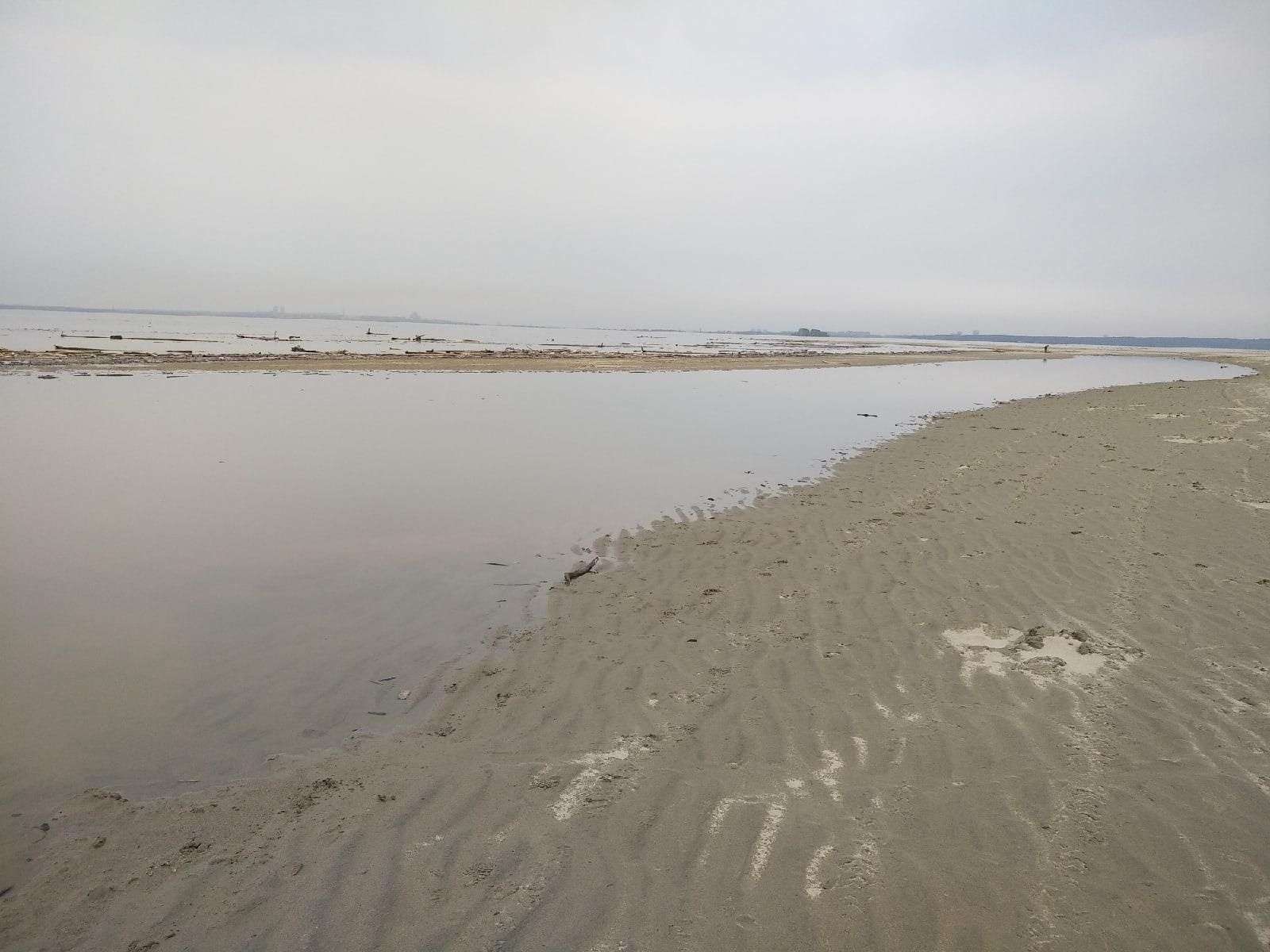 Пляжи Бердска готовят к купальному сезону: проводят очистку, набирают спасателей  