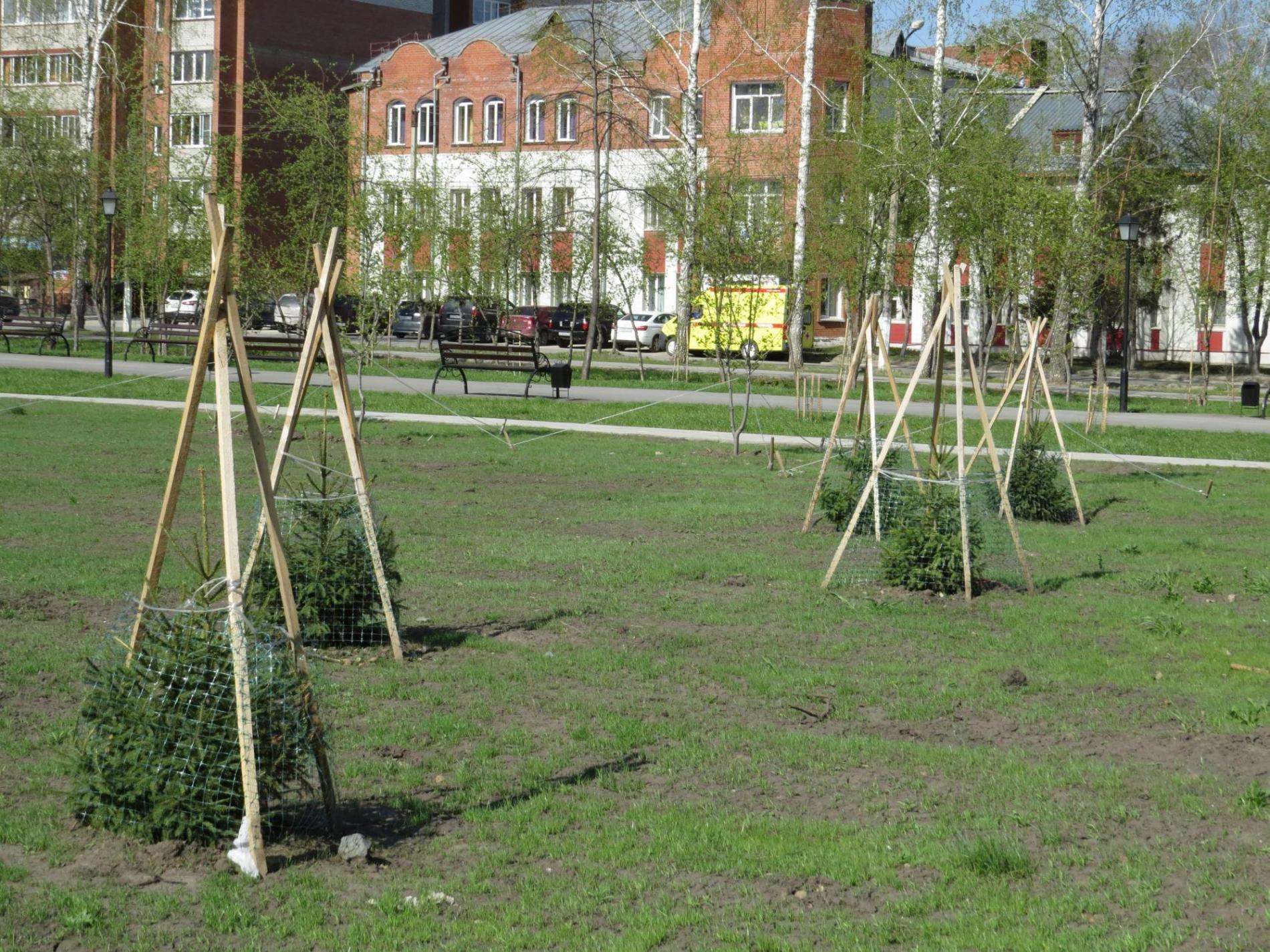 «Профессиональные жалобщики» из Екатеринбурга чуть не сорвали озеленение парка в Бердске