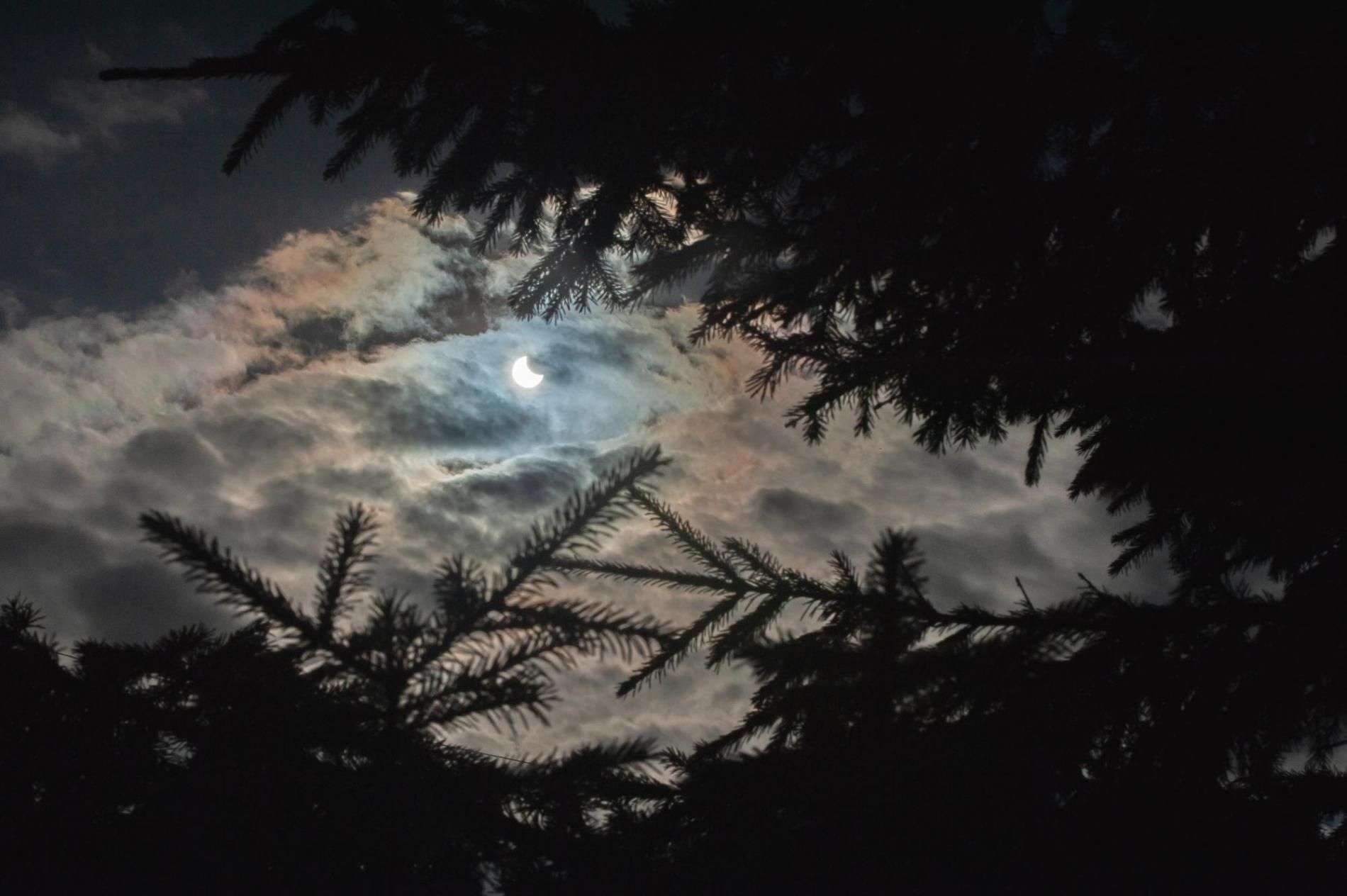 Завораживающие фото солнечного затмения сделала фотограф из Бердска
