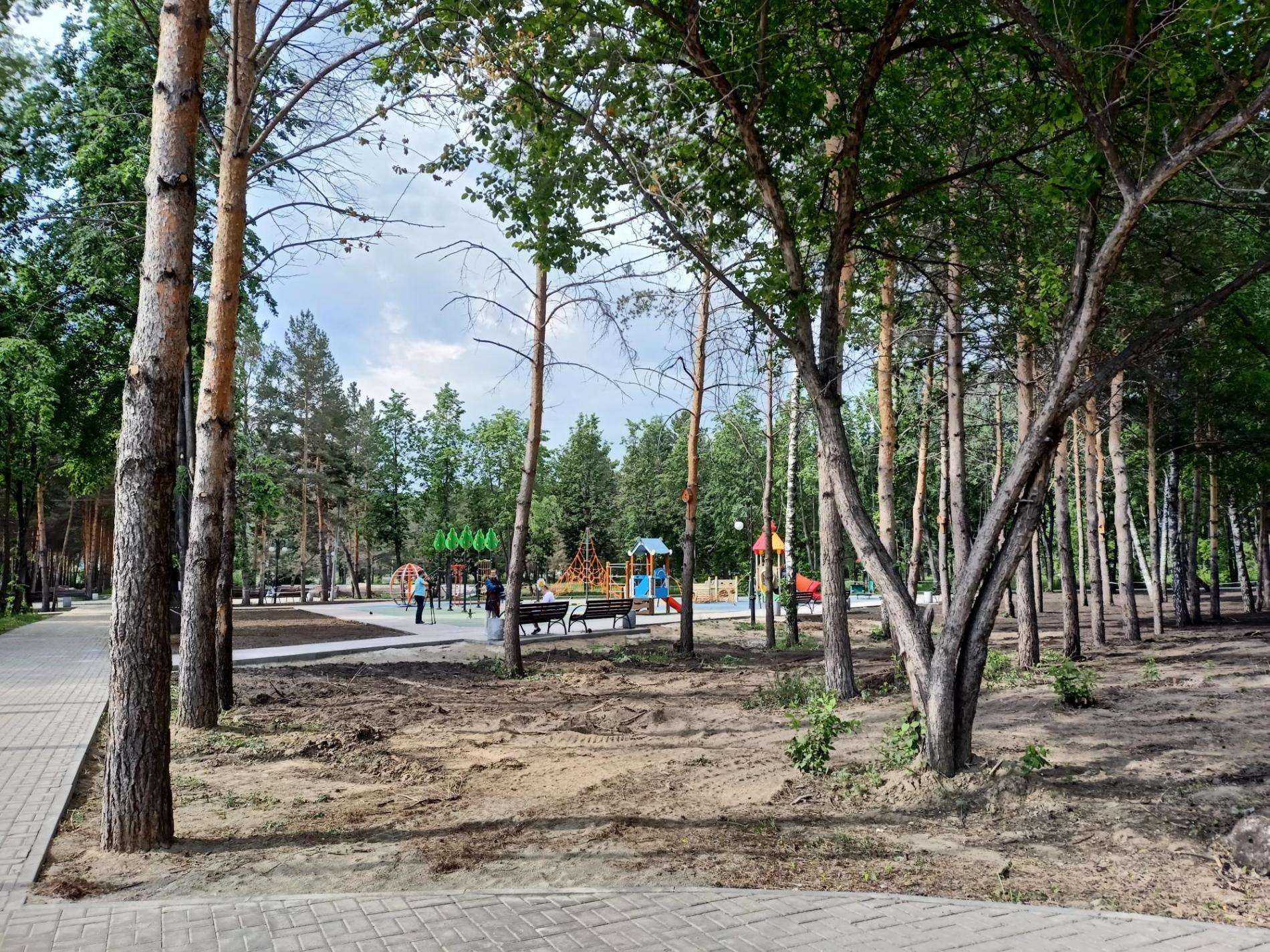 Парк в Искитиме станет одним из крупнейших благоустроенных пространств региона