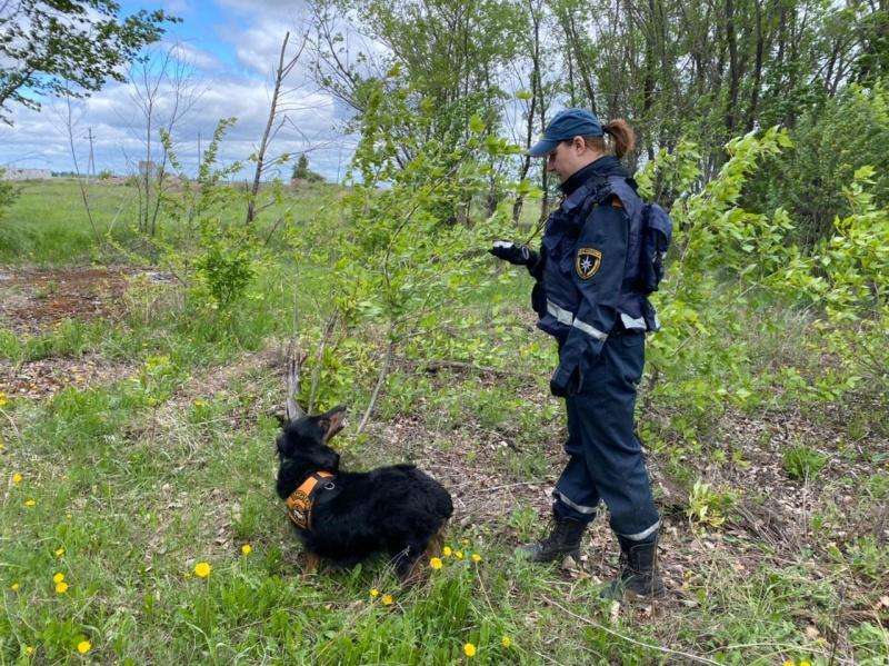 6 человек заблудились в лесу Новосибирской области с начала июля. Найдены не все