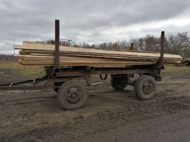 Незаконно вырубили лес на 3 млн рублей в Новосибирской области