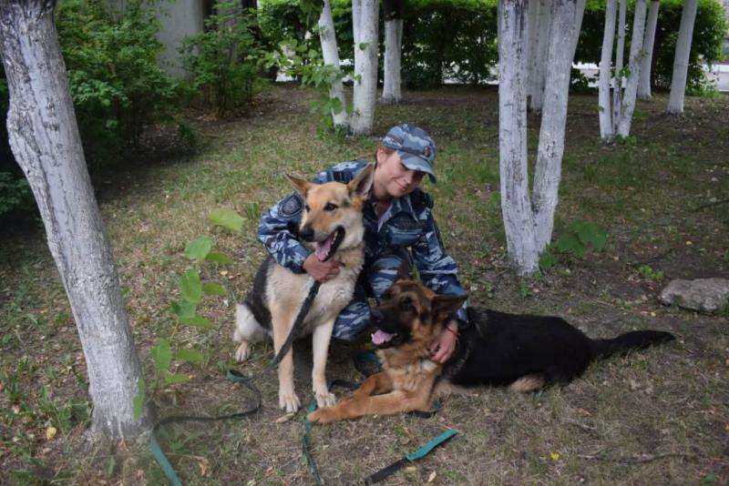 В Барабинске служебная собака помогла найти грабителя частного дома