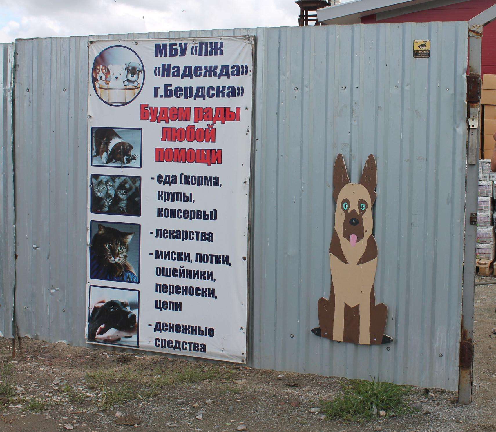 Бывший главбух приюта для животных в Бердске пойдёт под суд за хищение 1 млн рублей