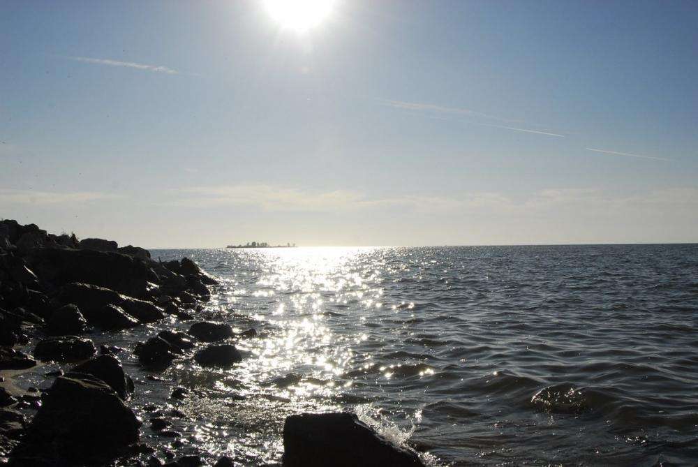 Бердск войдёт в туркластер прибрежных территорий "Обские парки"