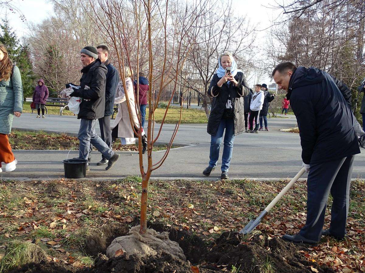 Министр ЖКХ Денис Архипов заложил «Аллею Единства» в парке Бердска
