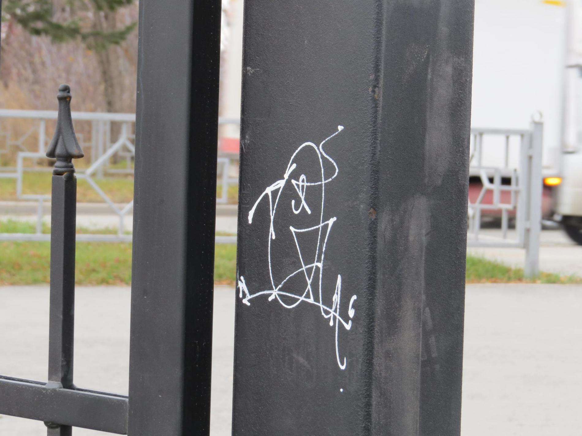 Новый забор в парке Бердска уродуют вандалы
