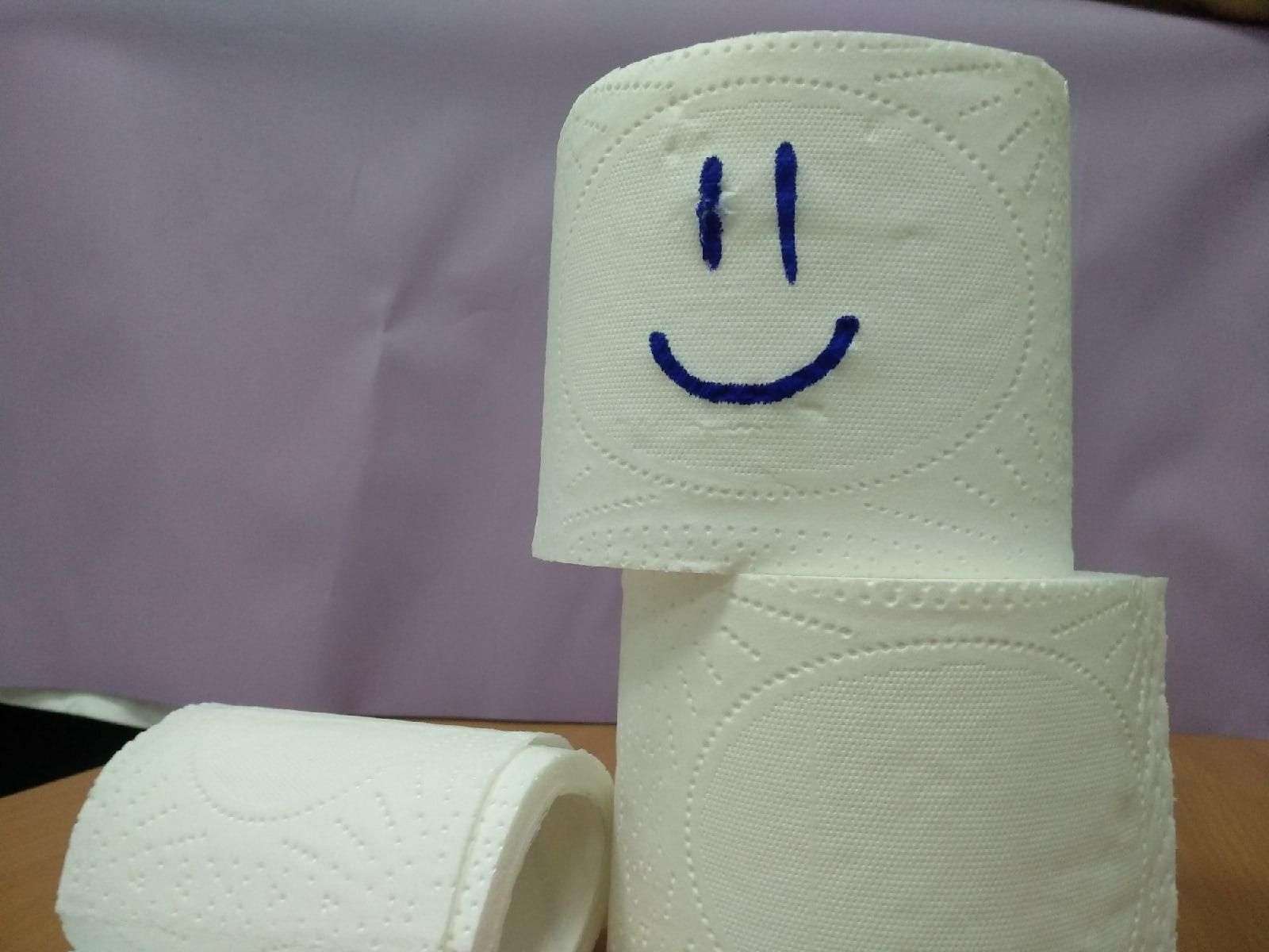 Биоразлагаемую белую туалетную бумагу с перфорацией закупает мэрия Бердска