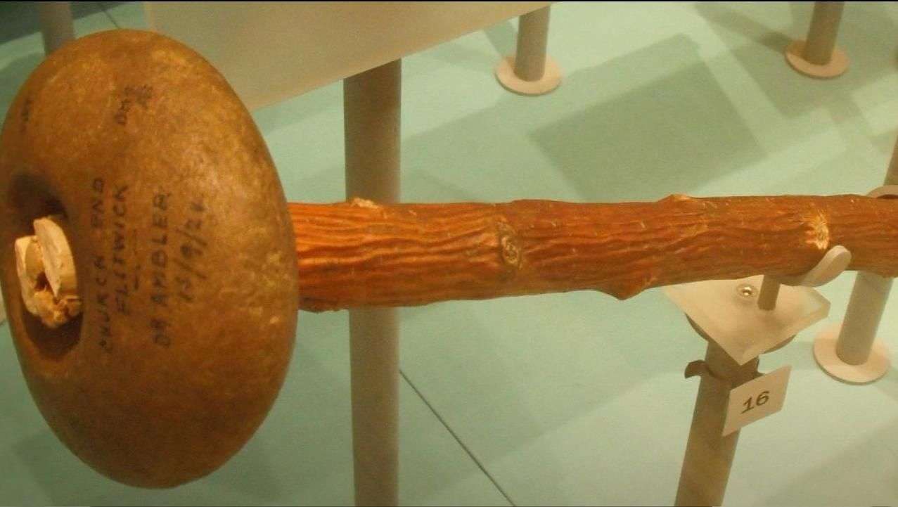 В Бердском музее появился новый экспонат – навершие булавы. Ему более пяти тысяч лет