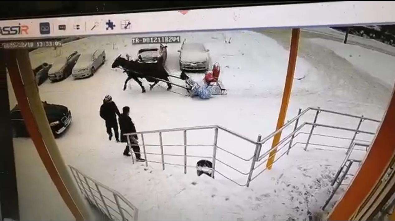 В Бердске на видео попала Снегурочка, вывалившаяся из саней с лошадью