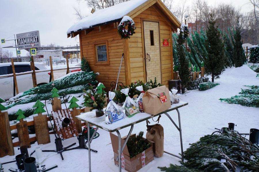 После 15 декабря откроются ёлочные базары в Бердске