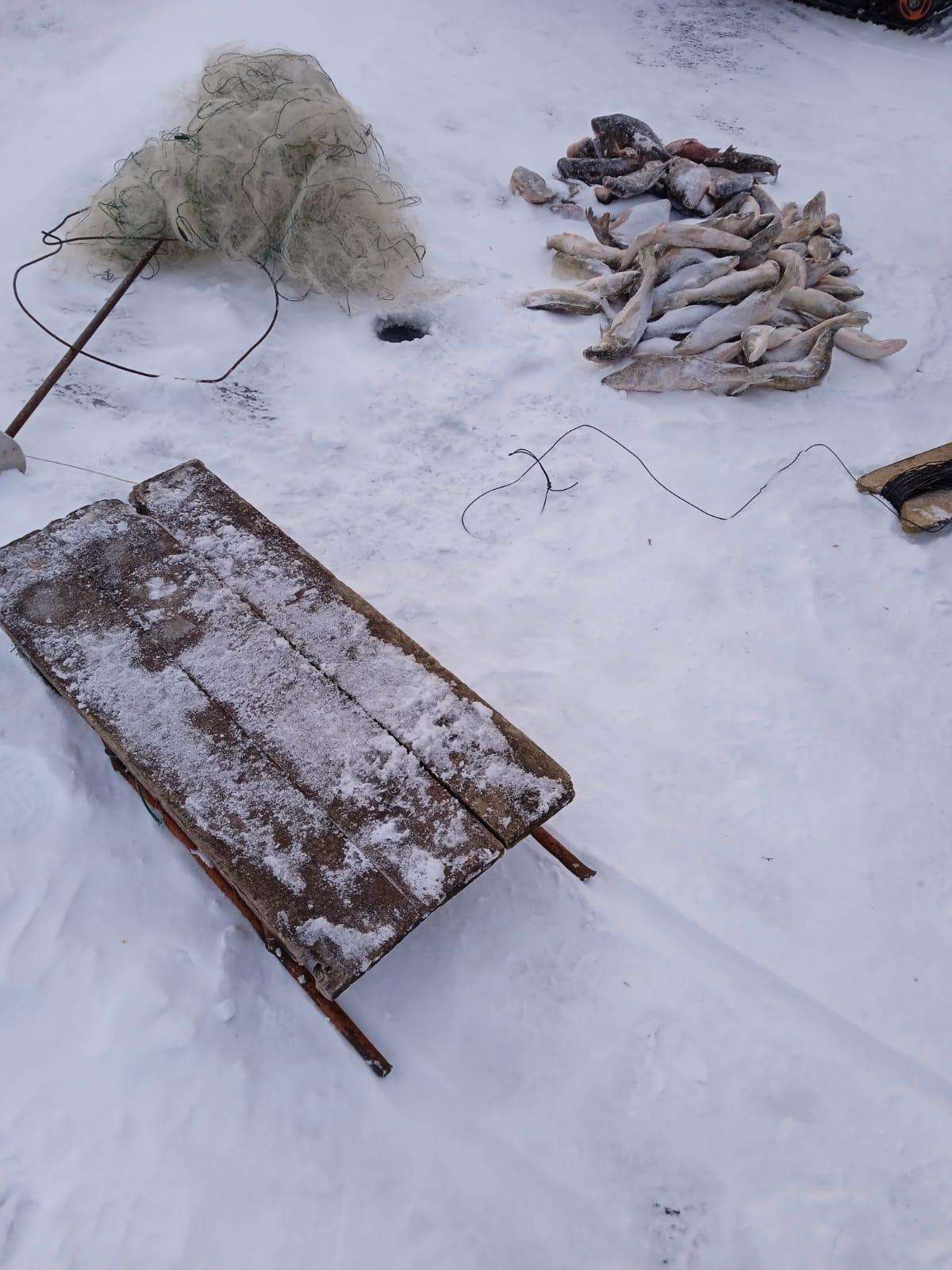Первых в году рыбаков-браконьеров задержали в Новосибирской области