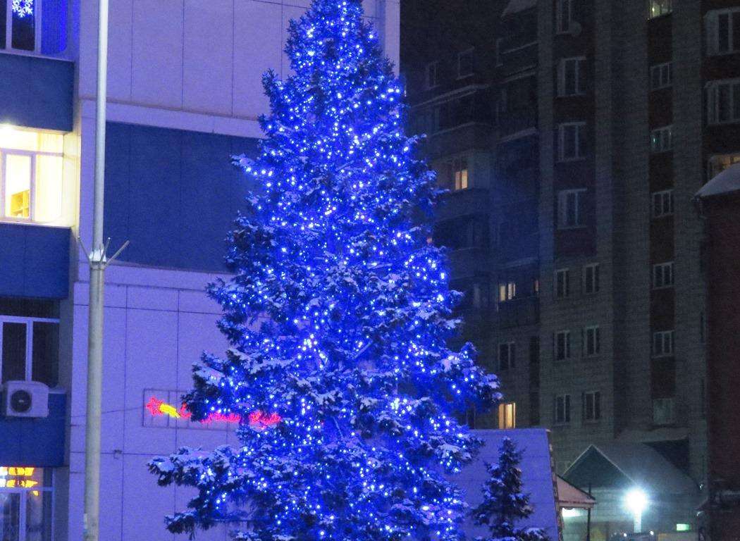 Без эксцессов прошли новогодние праздники в Бердске
