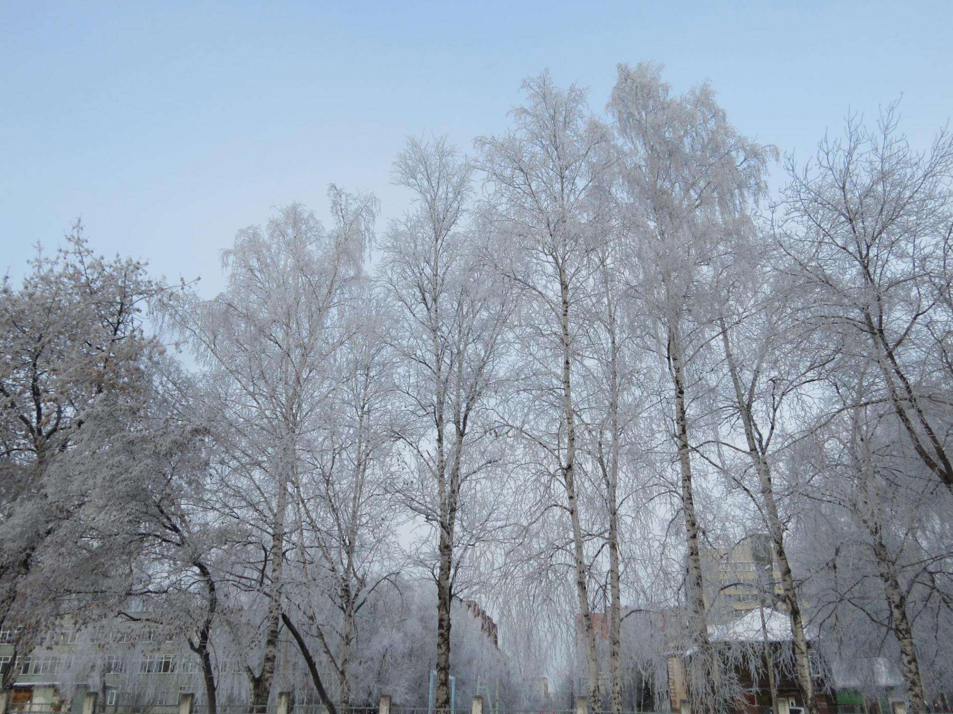 Вместе с похолоданием в Бердск пришла зимняя сказка