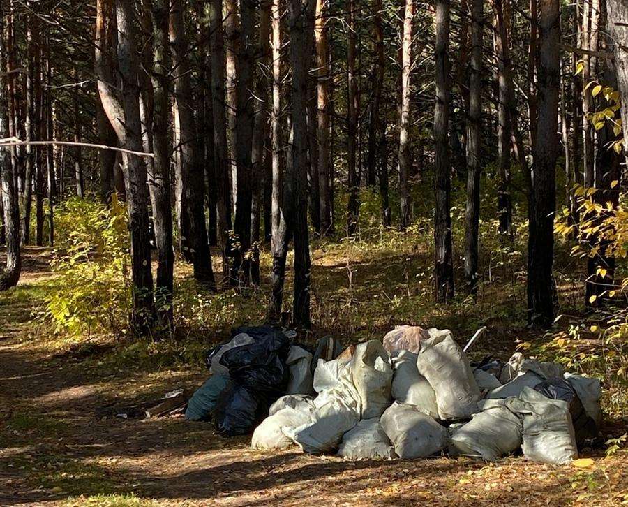 Штрафы до 120 тыс. рублей вводят за выброс мусора в неположенных местах