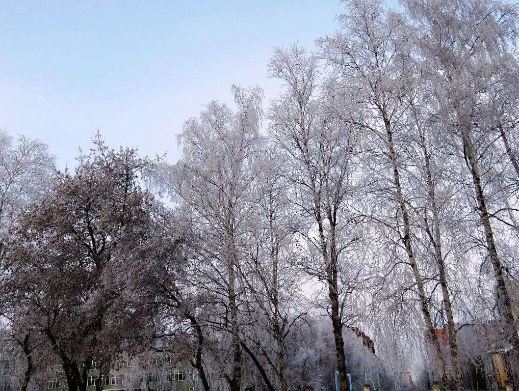  Морозы до -17 придут в Бердск уже сегодняшней ночью