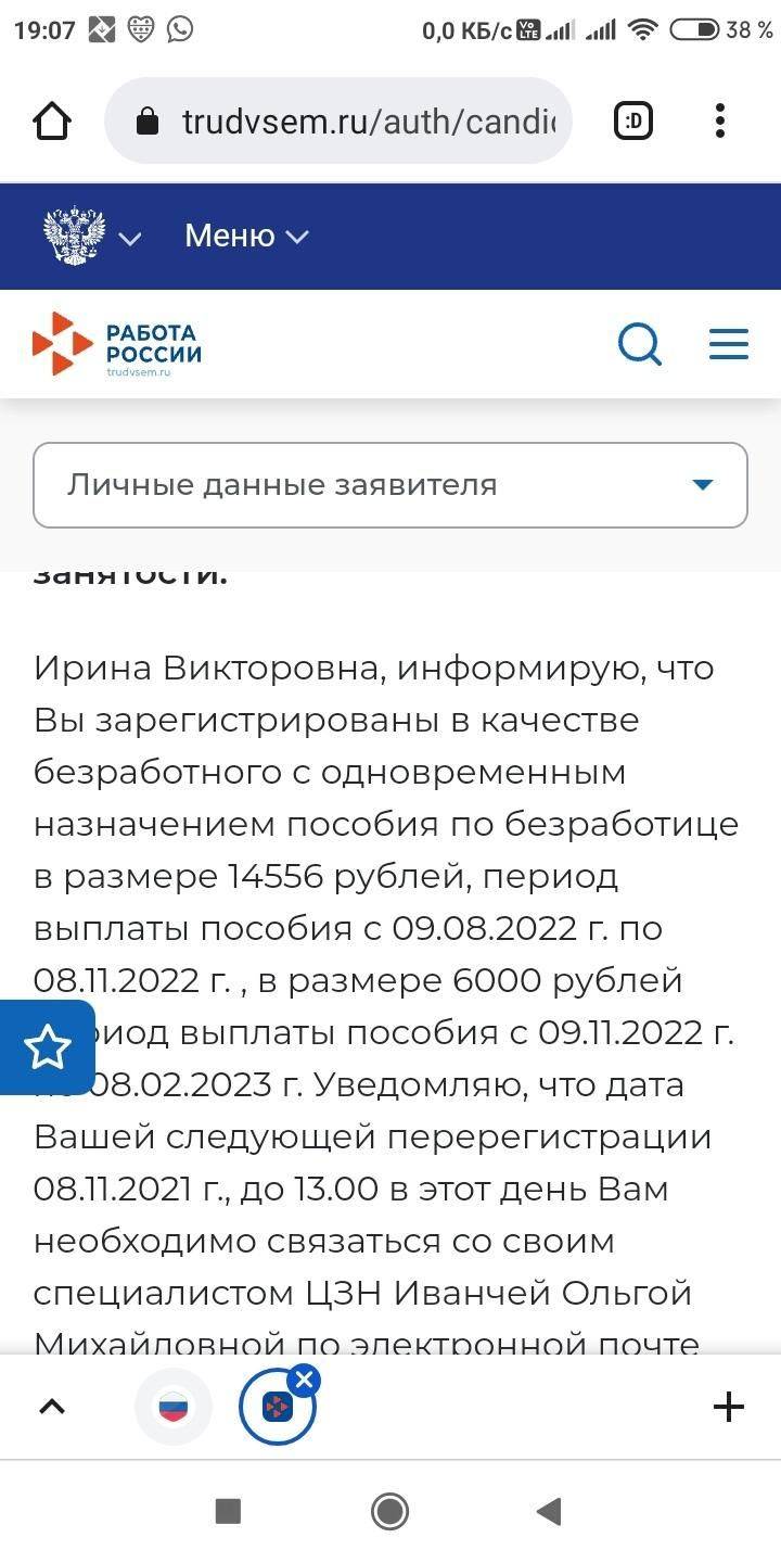 За опечатку на Госуслугах многодетную бердчанку на год лишили пособия по  безработице