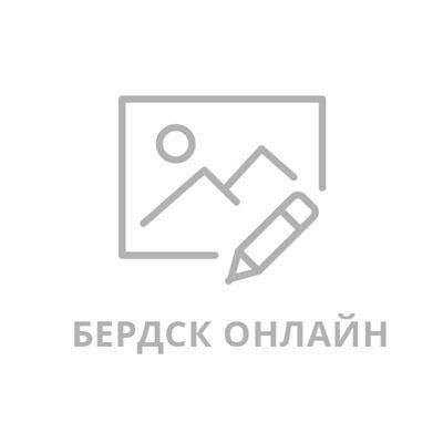 Срочное предупреждение от МЧС: Ливни и грозы надвигаются на Бердск