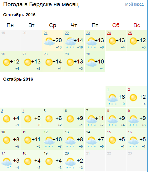 Погода в бердске на месяц самый. Погода в Бердске.