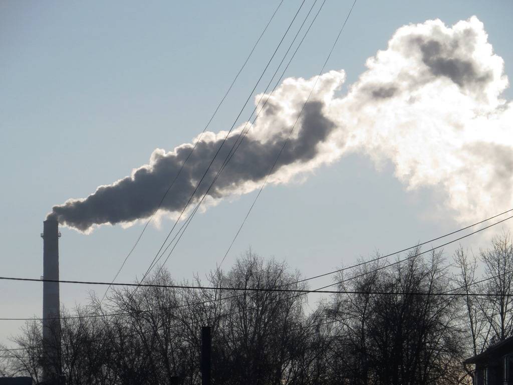 Кто загрязняет воздух в Бердске?