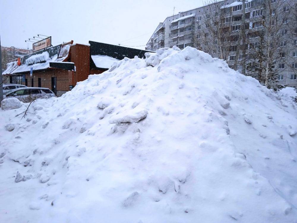 Бердчане сетуют на снег