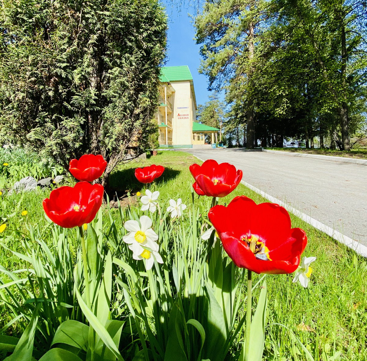 Повара и официанты требуются в пансионат «Лесная Сказка» в Бердске