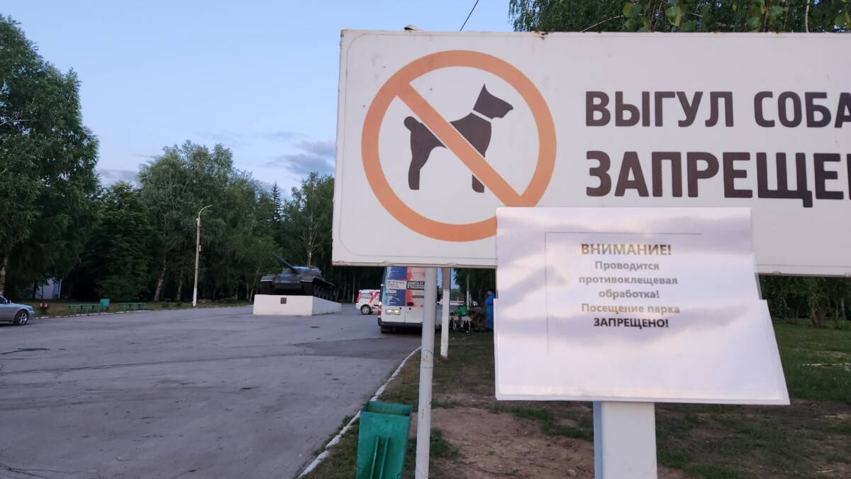 Парк Победы в Бердске обработали от клещей