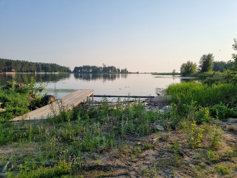 Вода цветет в жару