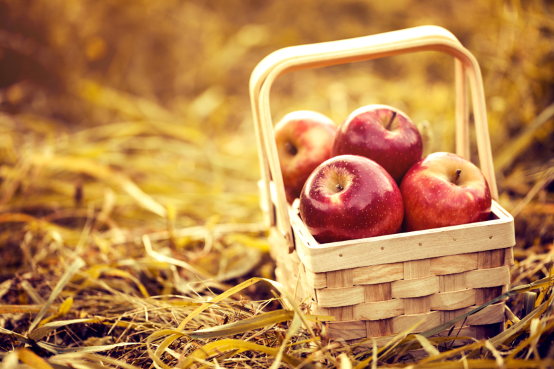 Яблочный спас в 2023 году: точная дата, традиции, что нельзя делать
