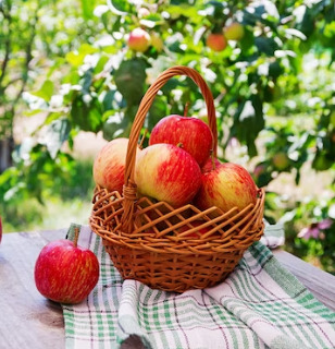 Как приготовить густое повидло из яблок на зиму дома с добавлением сахара - рецепт