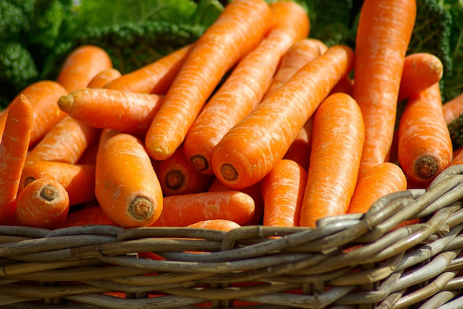 Храните морковь правильно 