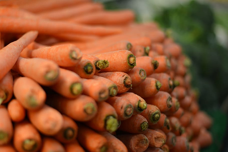 Хранить морковь в погребе можно разными способами 