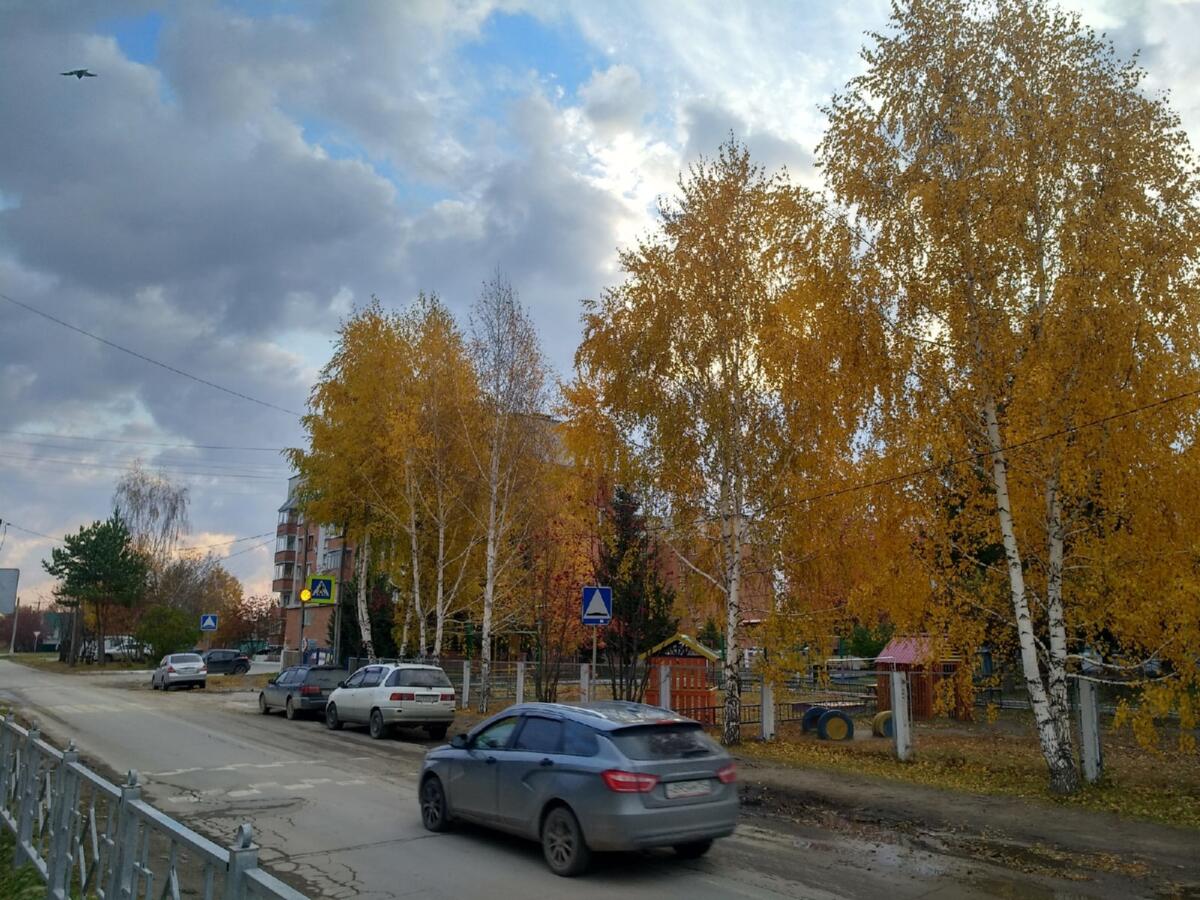 Будет ли снег на Покров 14 октября в Новосибирске и области? Ответили синоптики