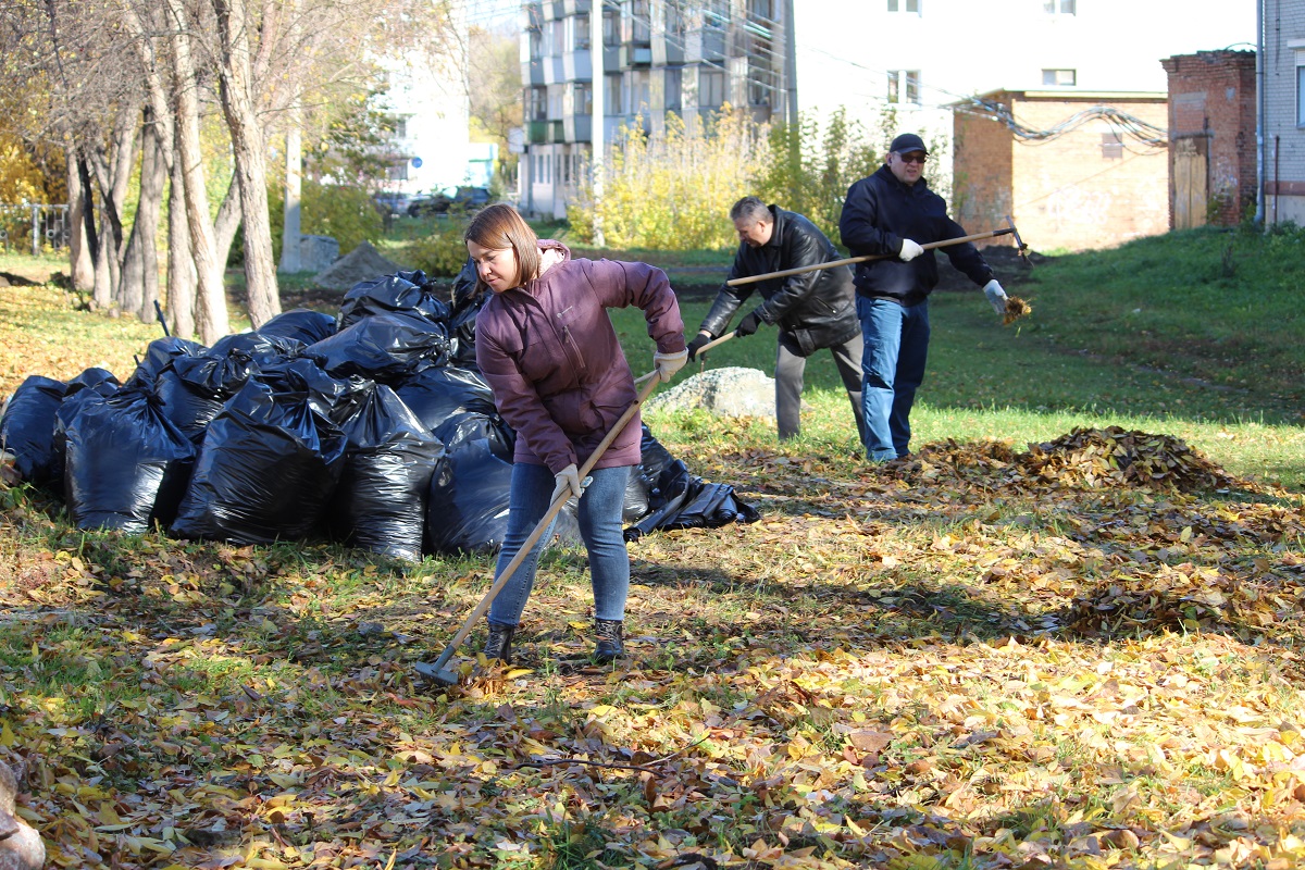 Руками 1000 жителей Бердска собрано 300 тонн мусора | 13.10.2023 | Бердск -  БезФормата