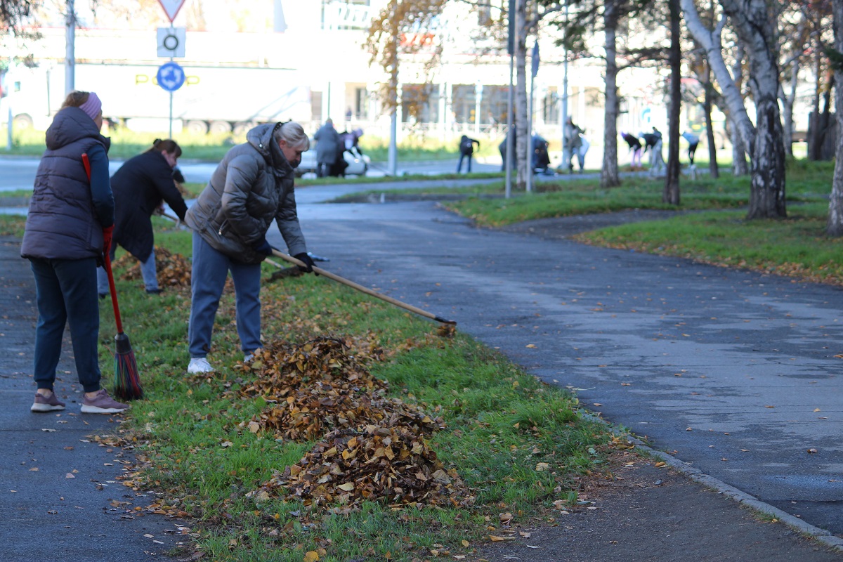 Руками 1000 жителей Бердска собрано 300 тонн мусора | 13.10.2023 | Бердск -  БезФормата