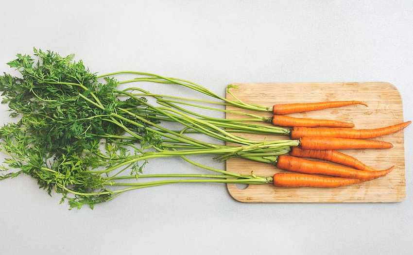 Вкусная морковная икра - идеальная закуска на зиму