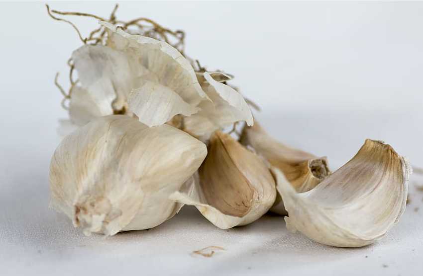 Почему чеснок синеет в маринаде с грибами, можно ли его есть